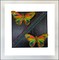 Butterfly Rainbow Painting Collage product 1